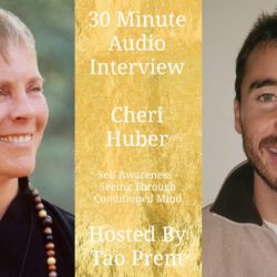Cheri Huber – Self Awareness, Overcoming Conditioned Mind